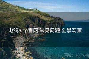 电鸽app官网 常见问题 全景观察