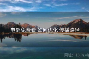 电鸽免费看 如何优化 传播路径