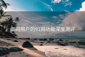 面向用户的91网功能深度测评