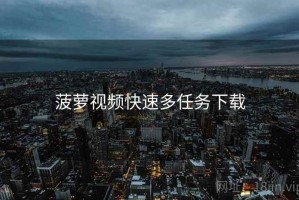 菠萝视频快速多任务下载