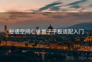 秘语空间小徐崽子平板适配入门