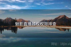 魅影直播越权权限排查