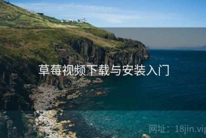 草莓视频下载与安装入门