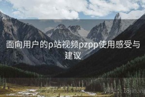 面向用户的p站视频pzpp使用感受与建议