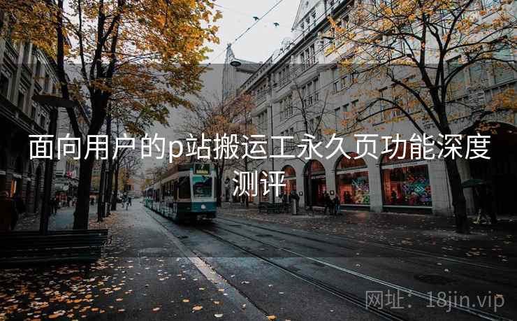 面向用户的p站搬运工永久页功能深度测评