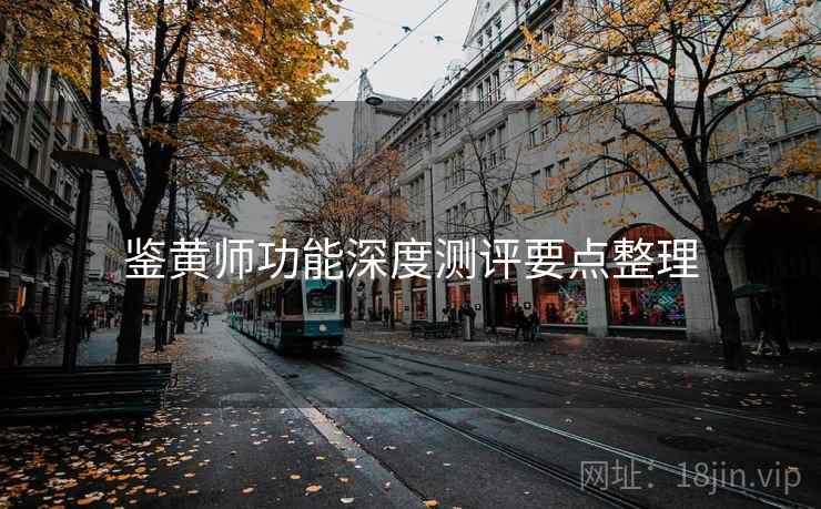 鉴黄师功能深度测评要点整理