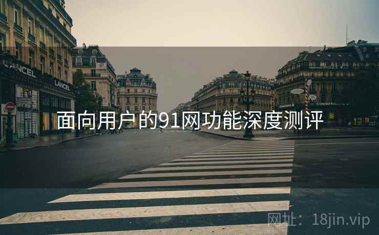 面向用户的91网功能深度测评