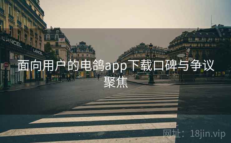 面向用户的电鸽app下载口碑与争议聚焦