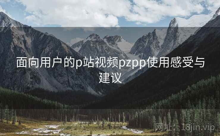 面向用户的p站视频pzpp使用感受与建议